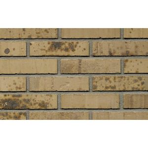 Кирпич облицовочный Terca Putty Multi Gesinterd 210*100*50 мм