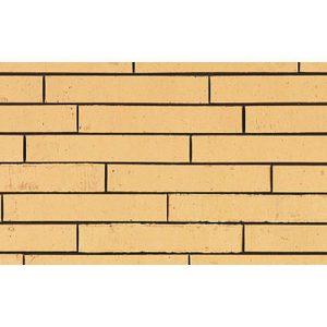 Кирпич облицовочный Terca Archipolis Vegas Geel, 240*65*40 мм