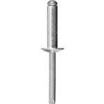 STAYER 4.8 х 10 мм, 1000 шт., заклепки алюминиевые ProFIX
