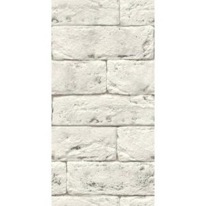 Стеновая панель ПВХ Панельпласт 8257 White Hog 2700х250х8 мм